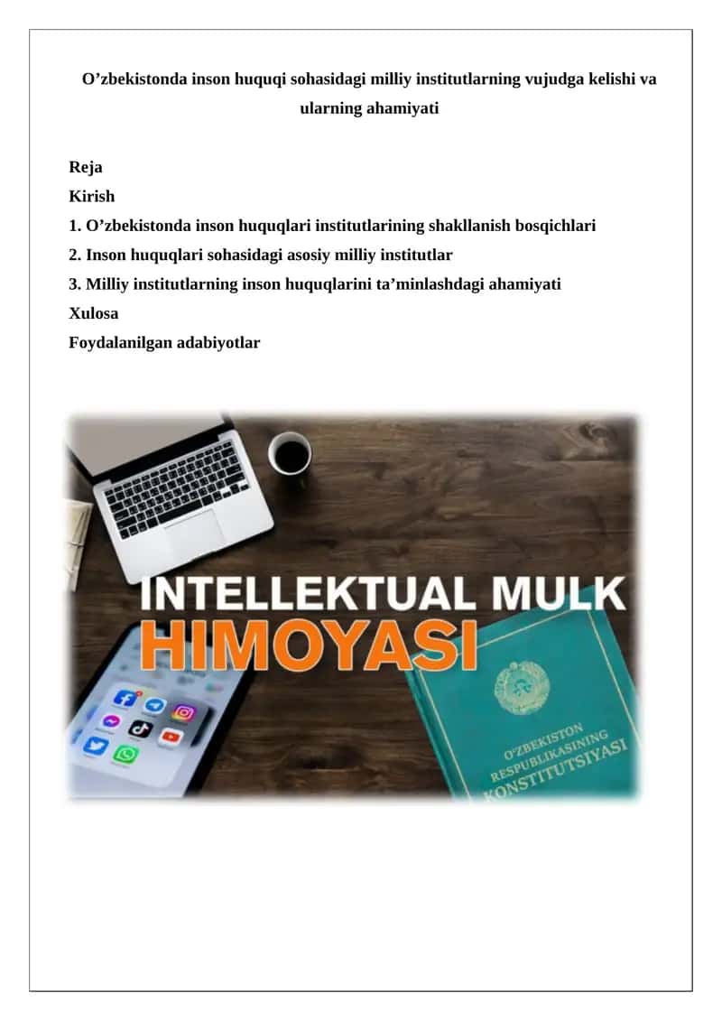 Inson huquqi sohasidagi milliy institutlar