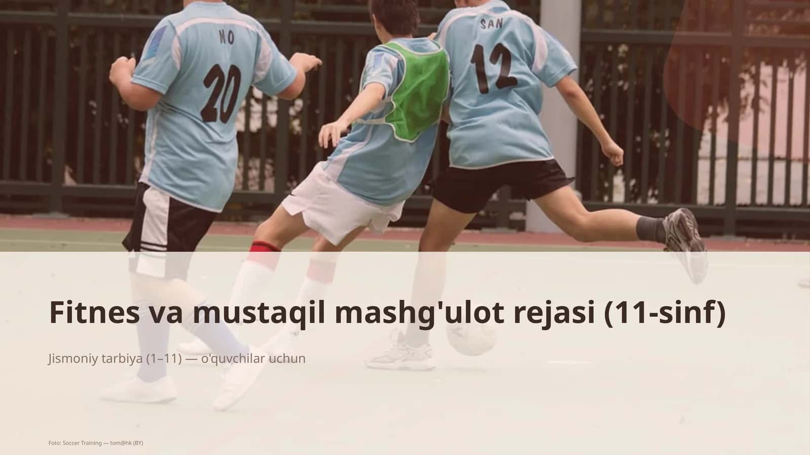 Fitnes va mustaqil mashg'ulot rejasi (11-sinf)