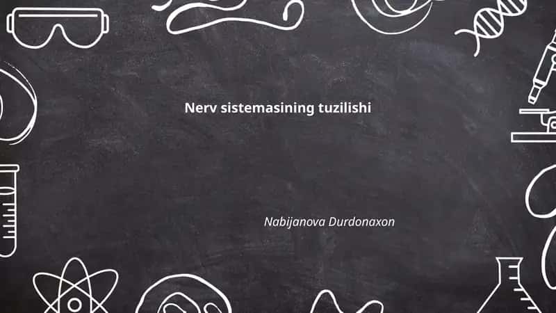 Nerv sistemasining tuzilishi