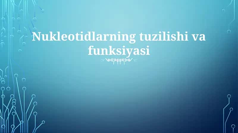 Nukleotidlarning tuzilishi va funksiyasi