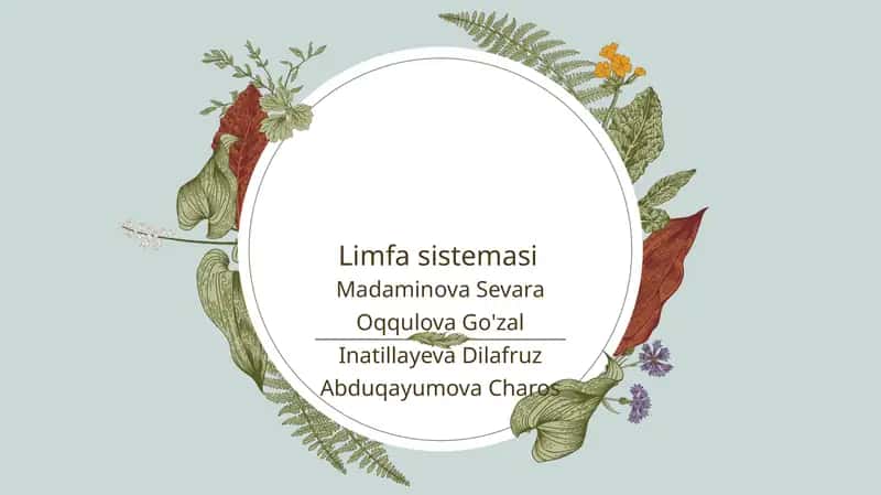 Limfa sistemasi