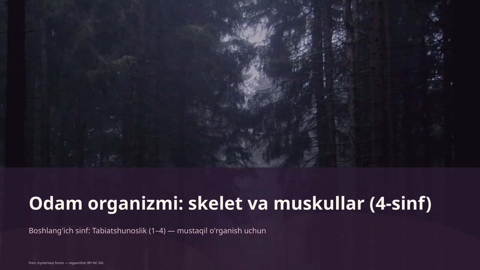 Odam organizmi: skelet va muskullar (4-sinf)