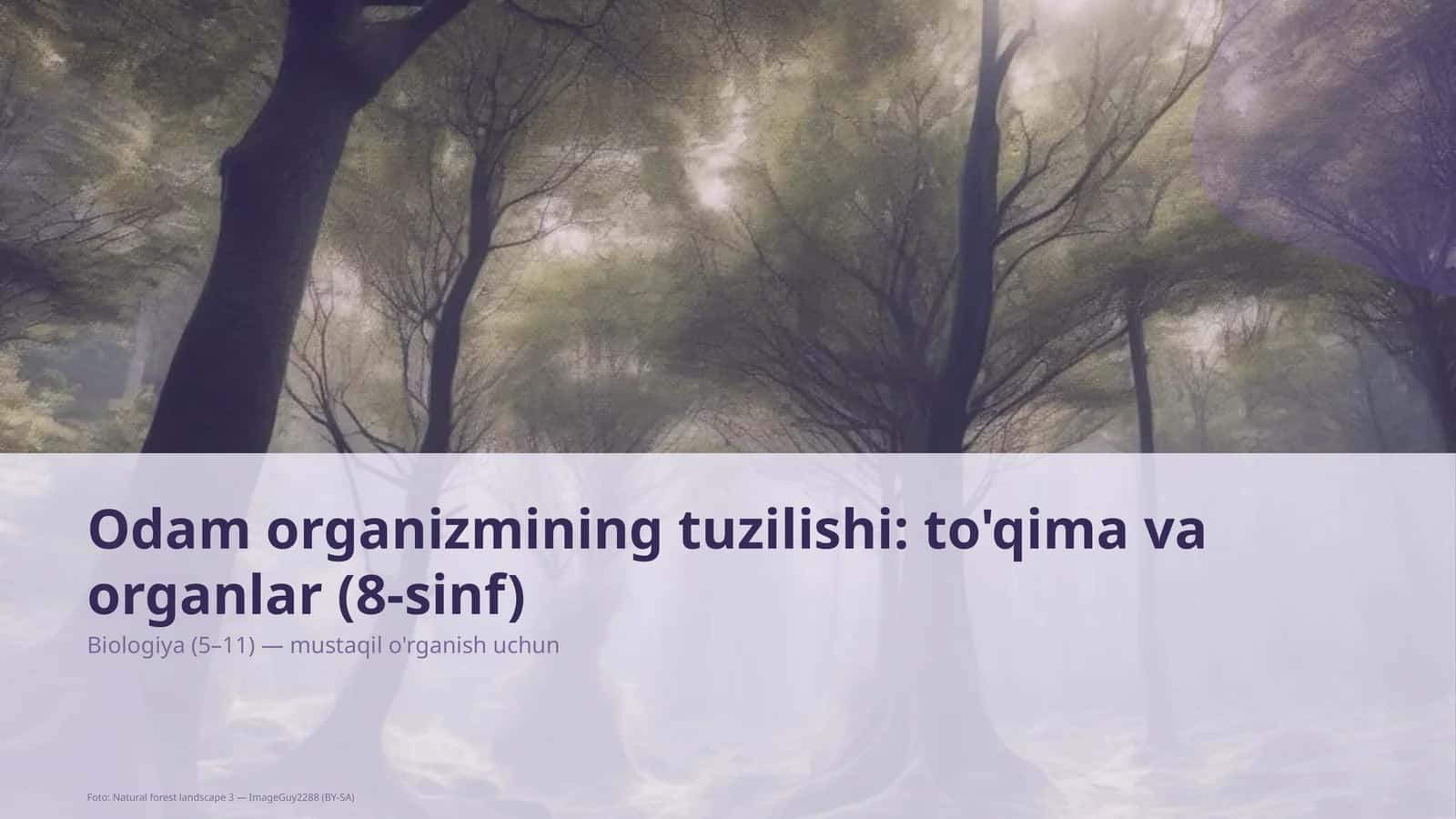 Odam organizmining tuzilishi: to'qima va organlar (8-sinf)