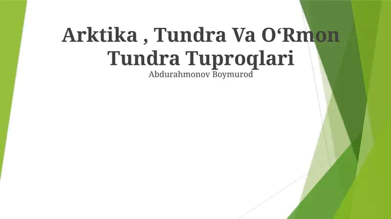 Arktika, Tundra Va OʻRmon Tundra Tuproqlari
