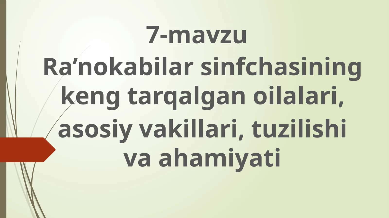 Ra’nokabilar sinfchasining keng tarqalgan oilalari, asosiy vakillari, tuzilishi va ahamiyati