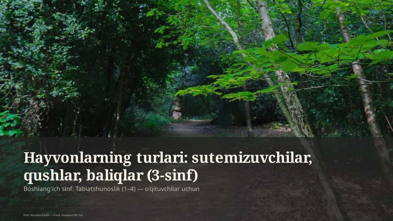 Hayvonlarning turlari: sutemizuvchilar, qushlar, baliqlar (3-sinf)