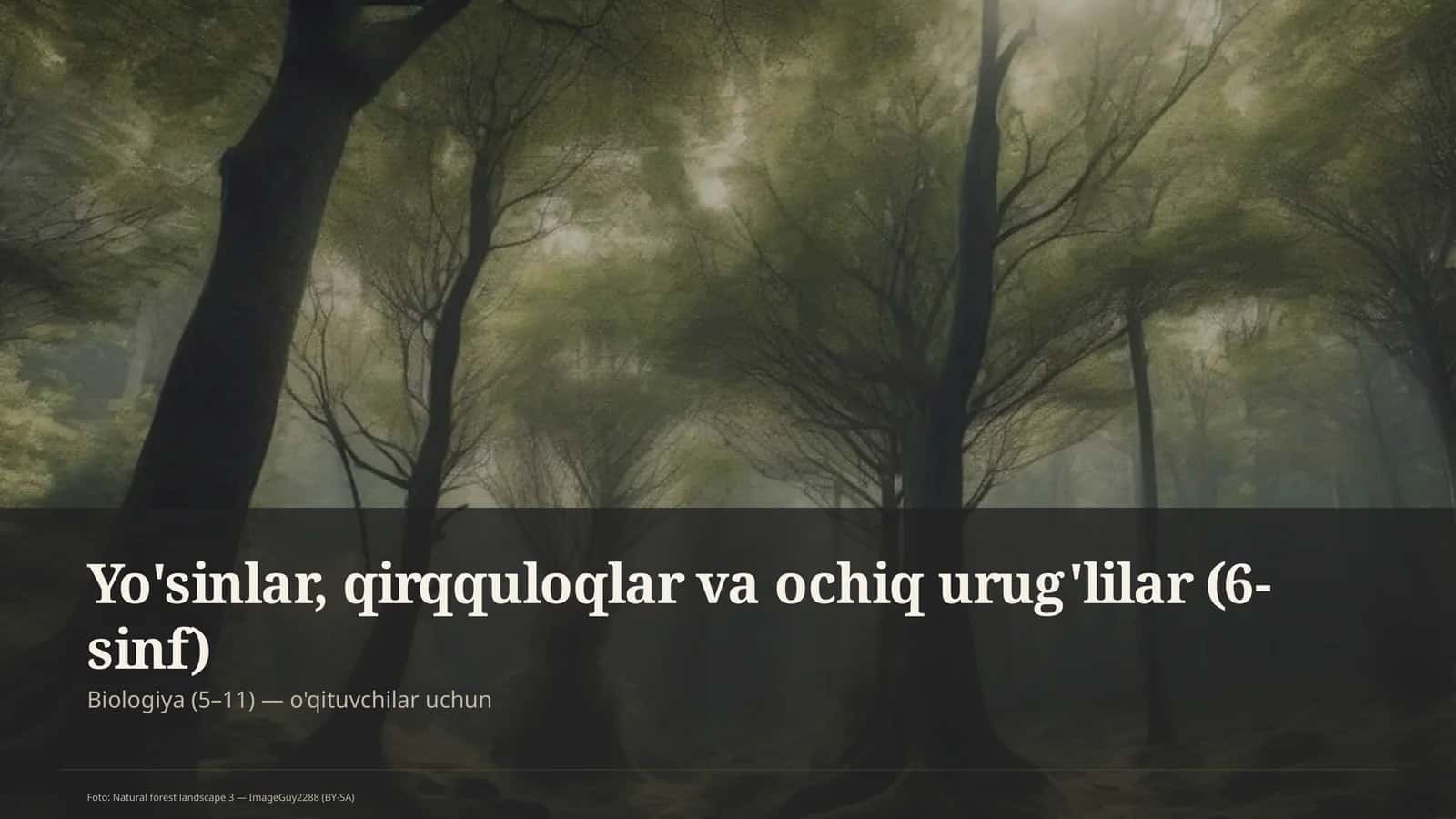 Yo'sinlar, qirqquloqlar va ochiq urug'lilar (6-sinf)