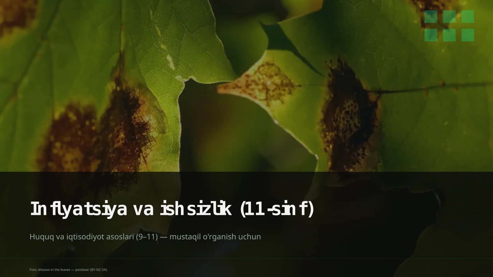 Inflyatsiya va ishsizlik (11-sinf)