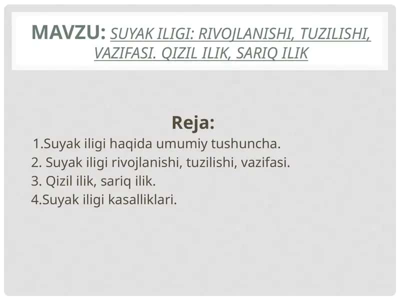 Suyak iligirivojlanishi