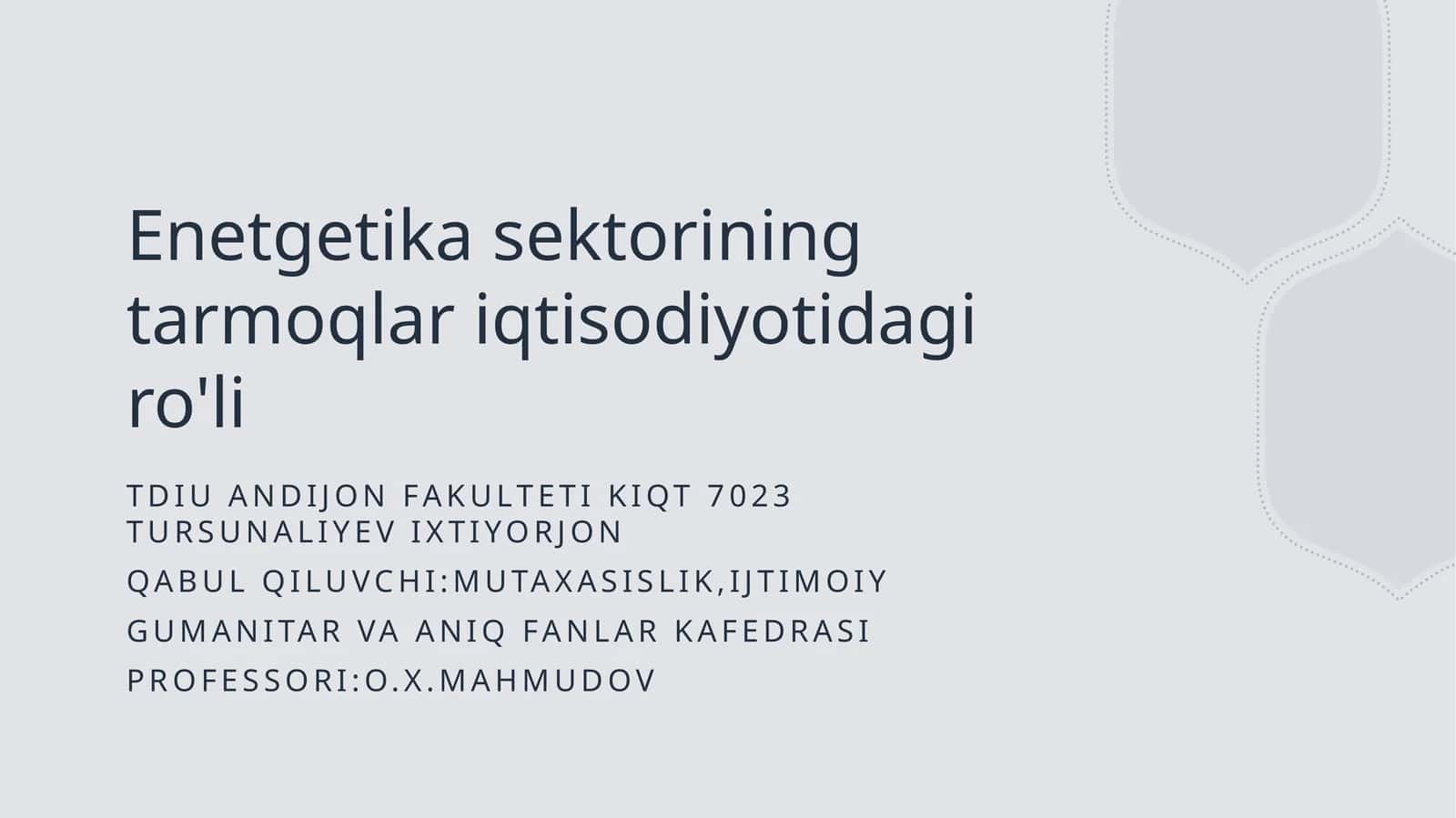 Energetika sektorining tarmoqlar iqtisodiyotidagi ro'li