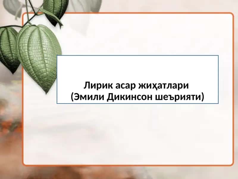 Лирик асар жиҳатлари(Эмили Дикинсон шеърияти)