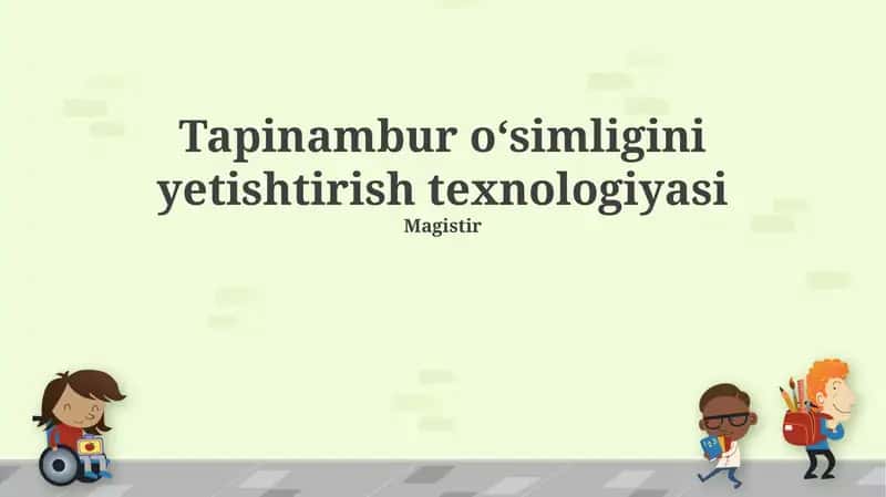 Tapinambur oʻsimligini yetishtirish texnologiyasi