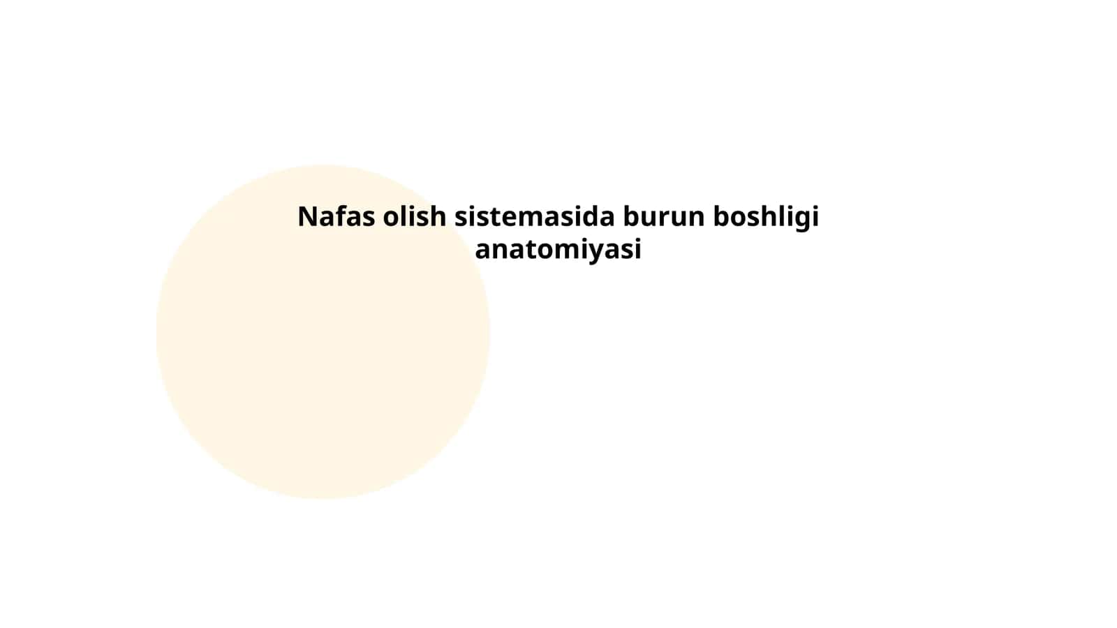 Nafas olish sistemasida burun boshligi anatomiyasi