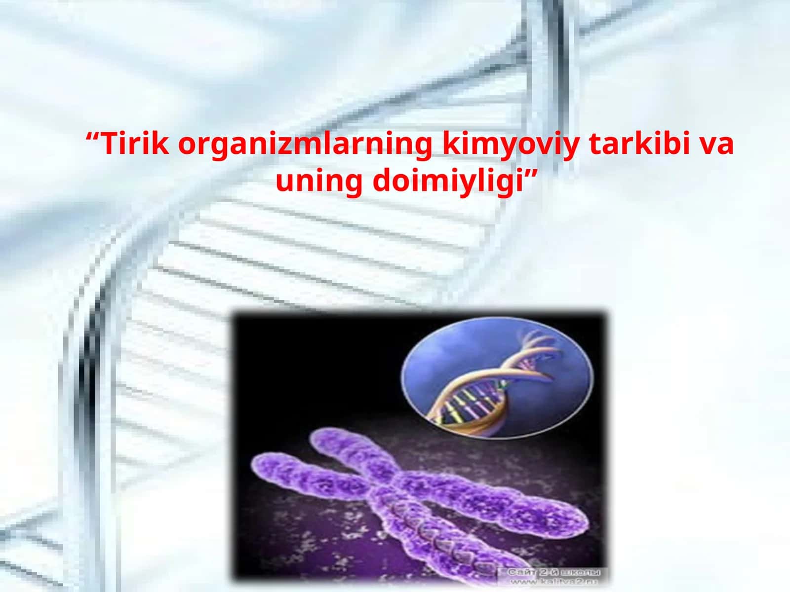 “Tirik organizmlarning kimyoviy tarkibi va uning doimiyligi”