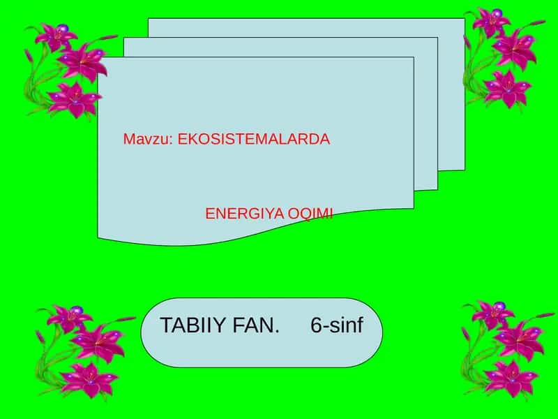EKOSISTEMALARDA ENERGIYA OQIMI