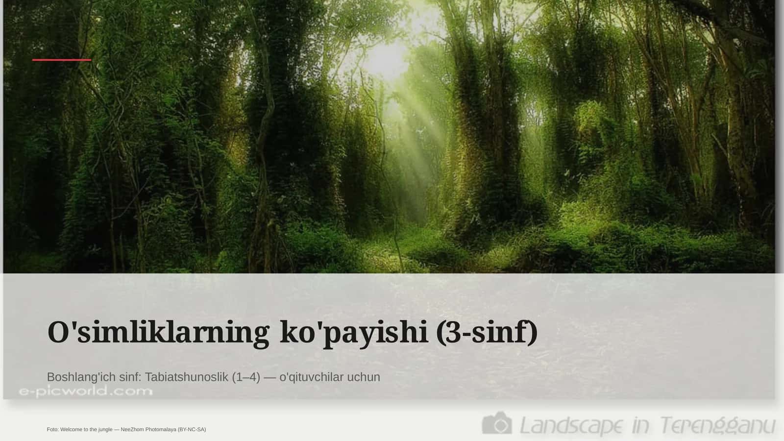 O'simliklarning ko'payishi (3-sinf)