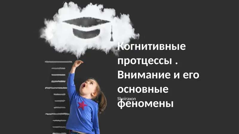 Когнитивные протцессы внимания, его разделенные, избирательные и распределённые феномены. Влияние времени реакции на различные задачи и повседневную жизнь 1