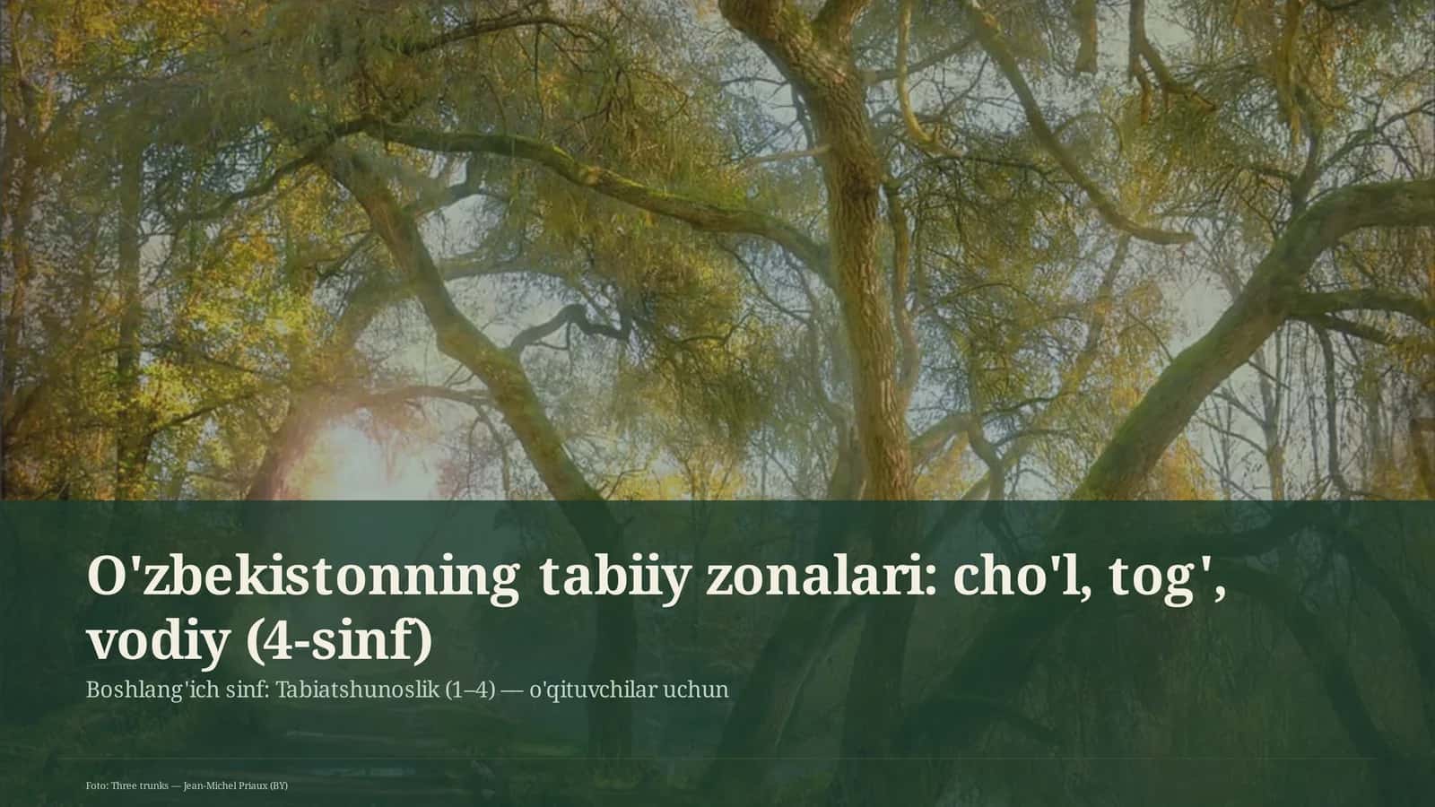 O'zbekistonning tabiiy zonalari: cho'l, tog', vodiy (4-sinf)