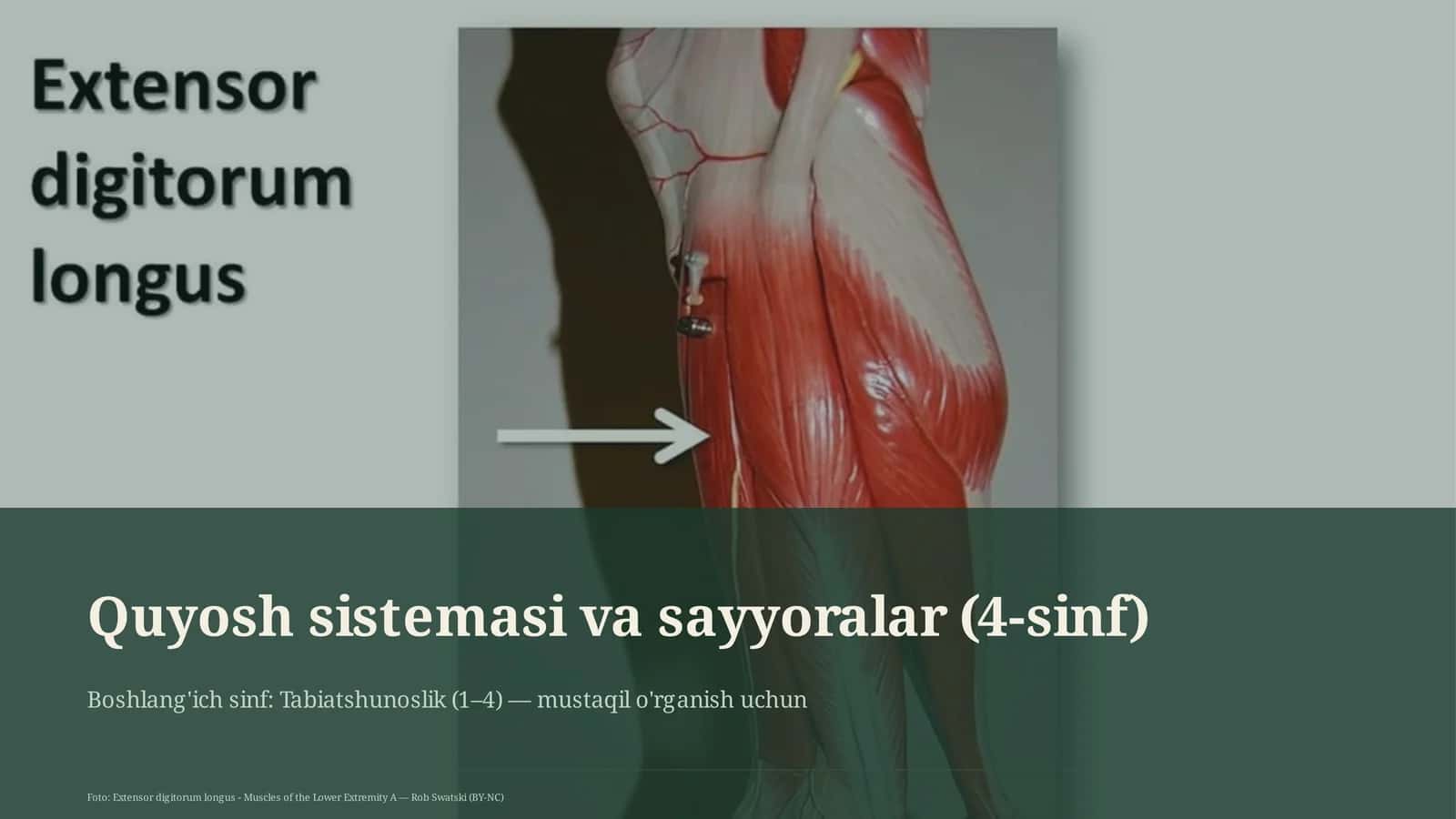 Quyosh sistemasi va sayyoralar (4-sinf)