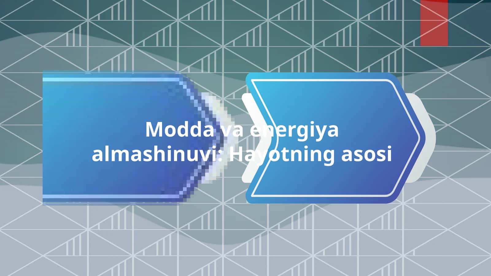 Modda va energiya almashinuvi: Hayotning asosi