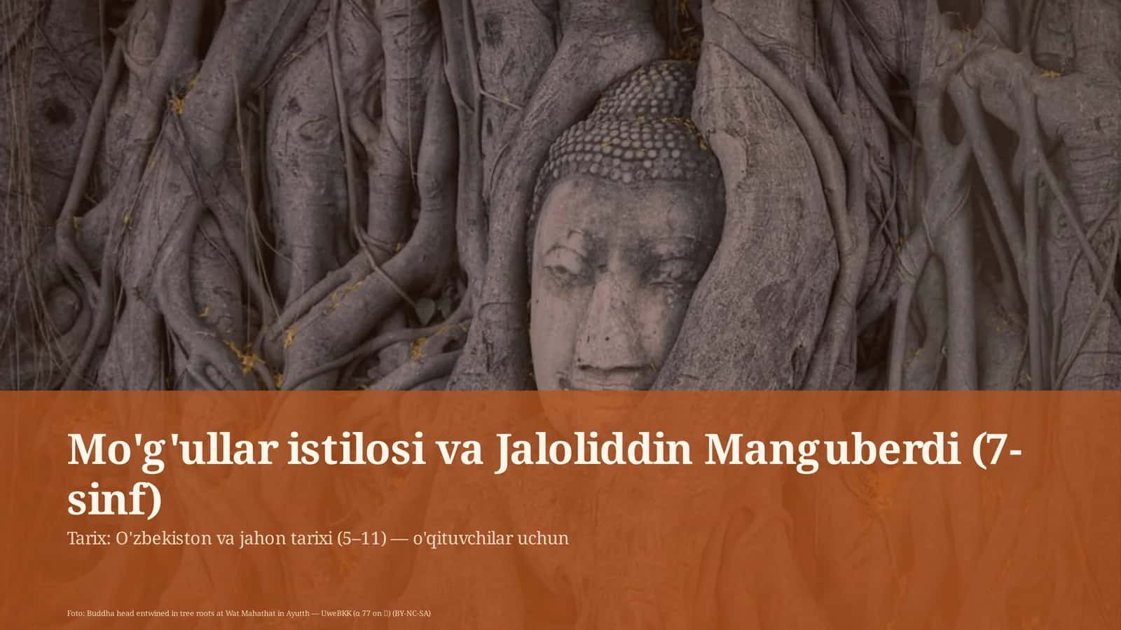Mo'g'ullar istilosi va Jaloliddin Manguberdi (7-sinf)