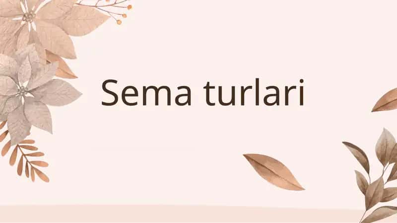 Sema va turlari