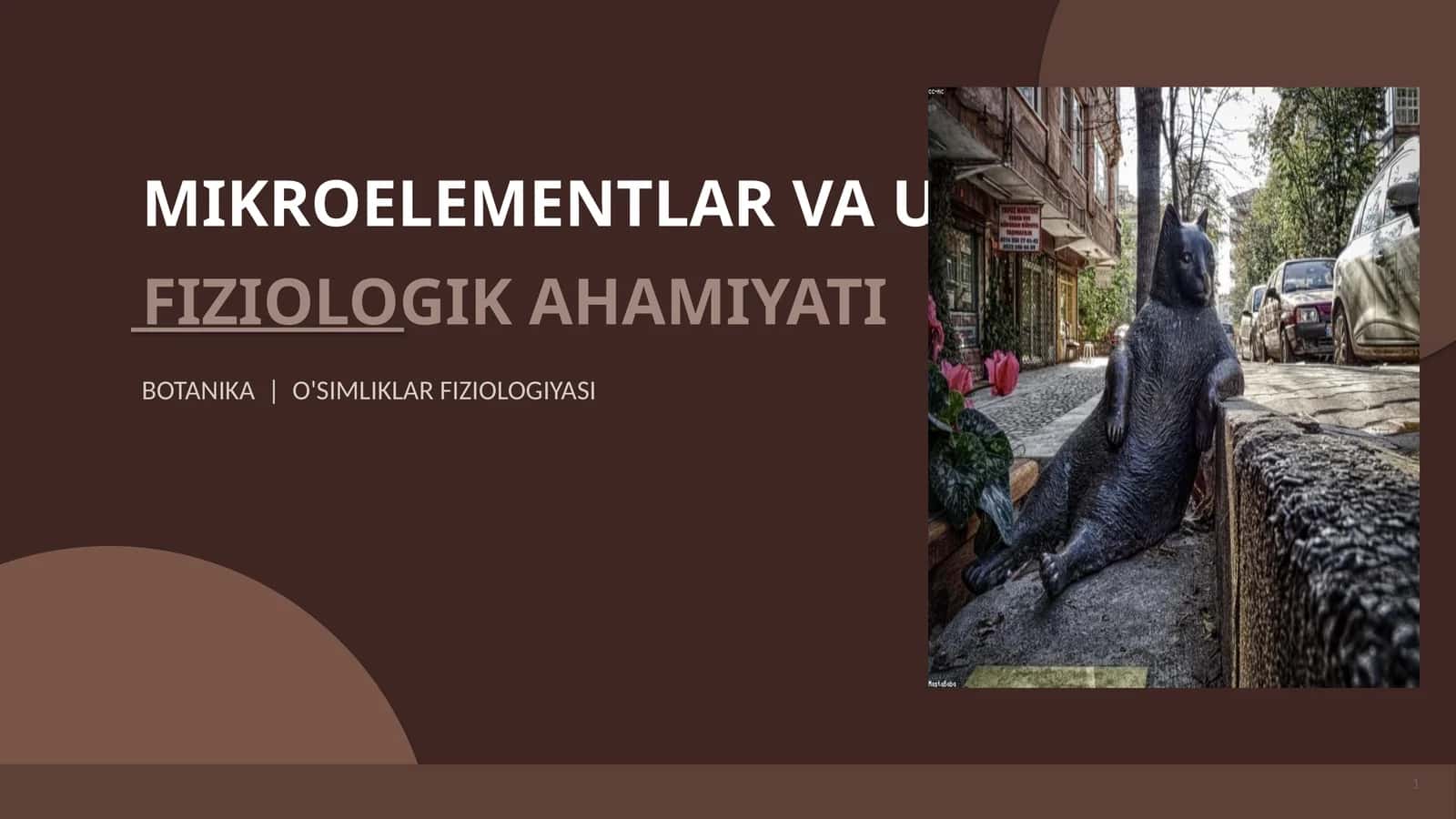 MIKROELEMENTLAR VA ULARNING FIZIOLOGIK AHAMIYATI
