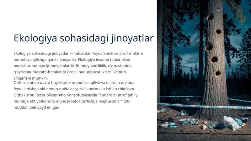 Ekologiya sohasidagi jinoyatlar