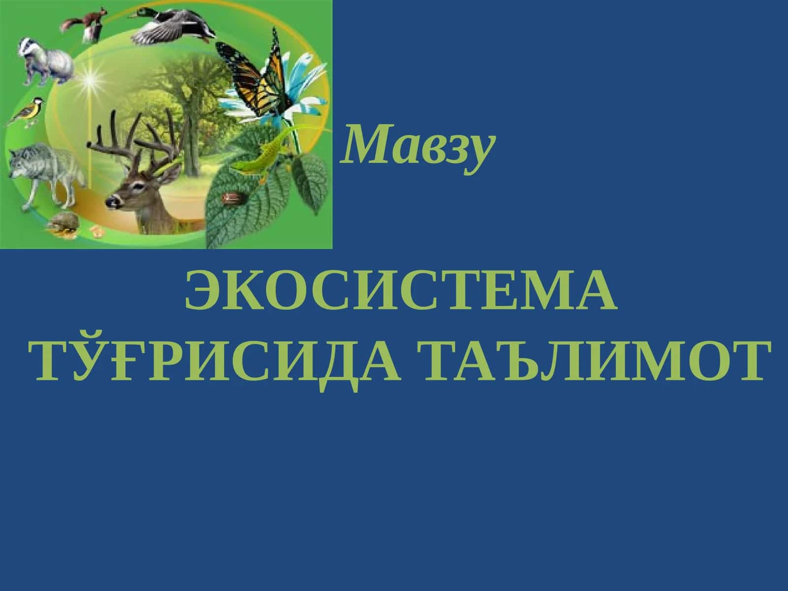 ЭКОСИСТЕМА ТЎҒРИСИДА ТАЪЛИМОТ