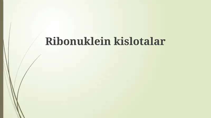 Ribonukleinkislotalar