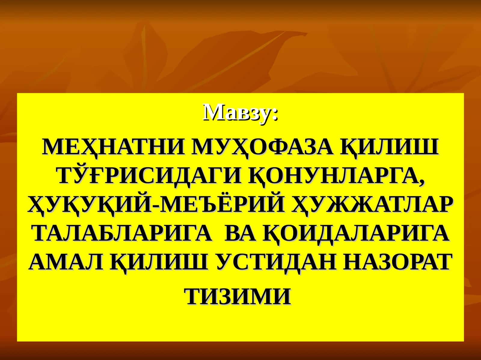 МЕҲНАТНИ МУҲОФАЗА ҚИЛИШ ТЎҒРИСИДАГИ ҚОНУНЛАРГА, ҲУҚУҚИЙ-МЕЪЁРИЙ ҲУЖЖАТЛАР ТАЛАБЛАРИГА ВА ҚОИДАЛАРИГА АМАЛ ҚИЛИШ УСТИДАН НАЗОРАТ ТИЗИМИ