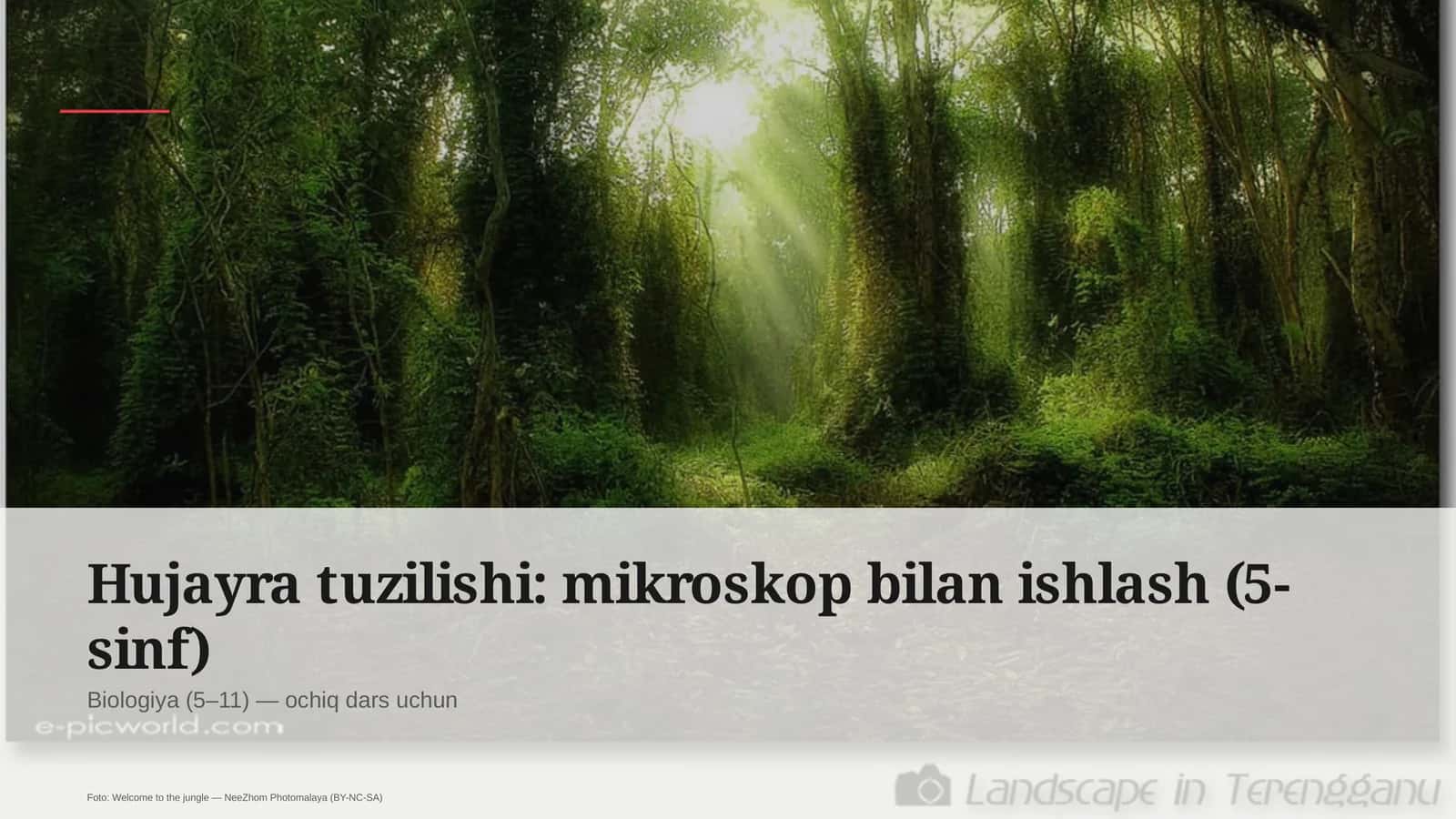 Hujayra tuzilishi: mikroskop bilan ishlash (5-sinf)