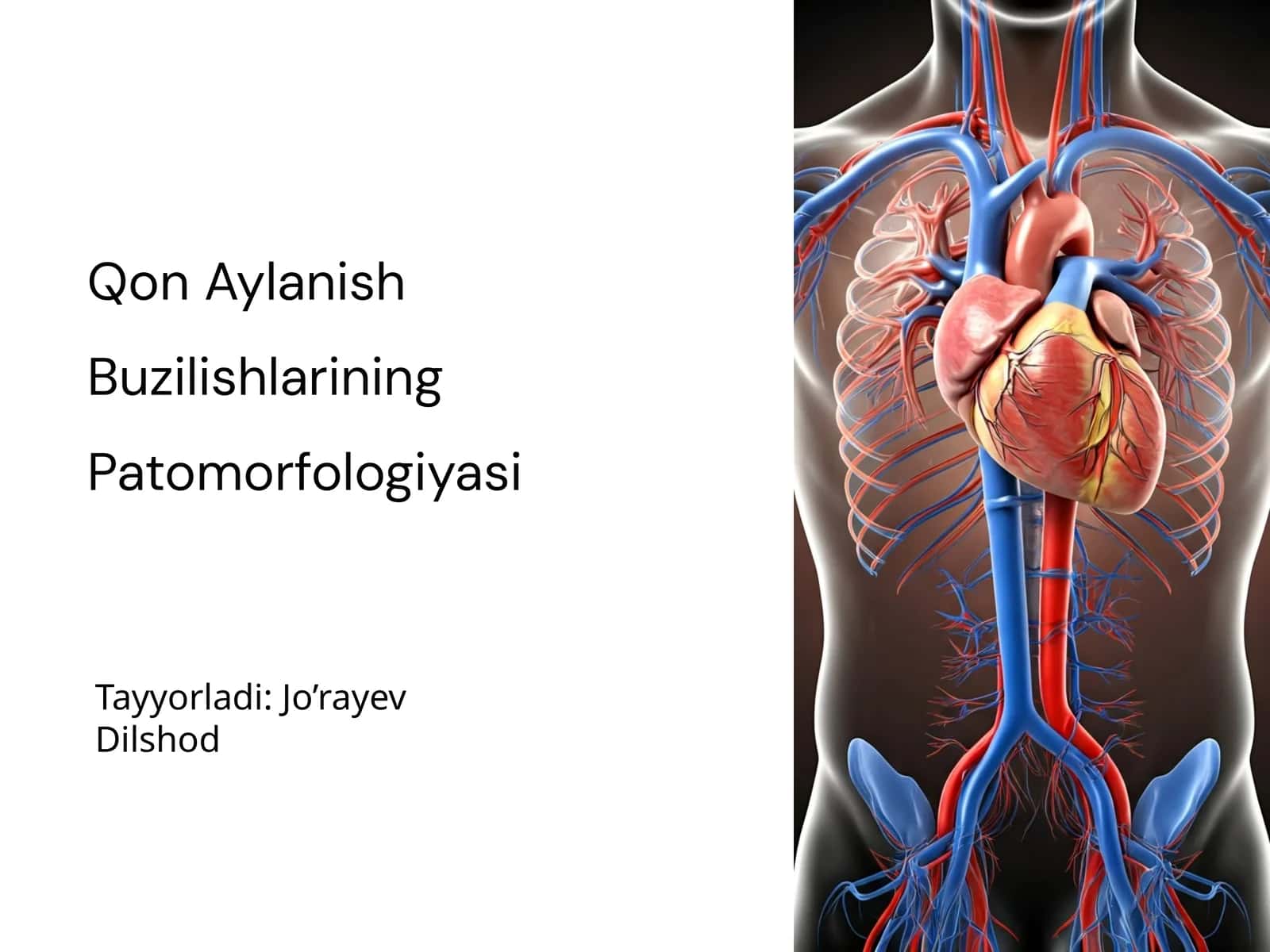 Qon Aylanish Buzilishlarining Patomorfologiyasi