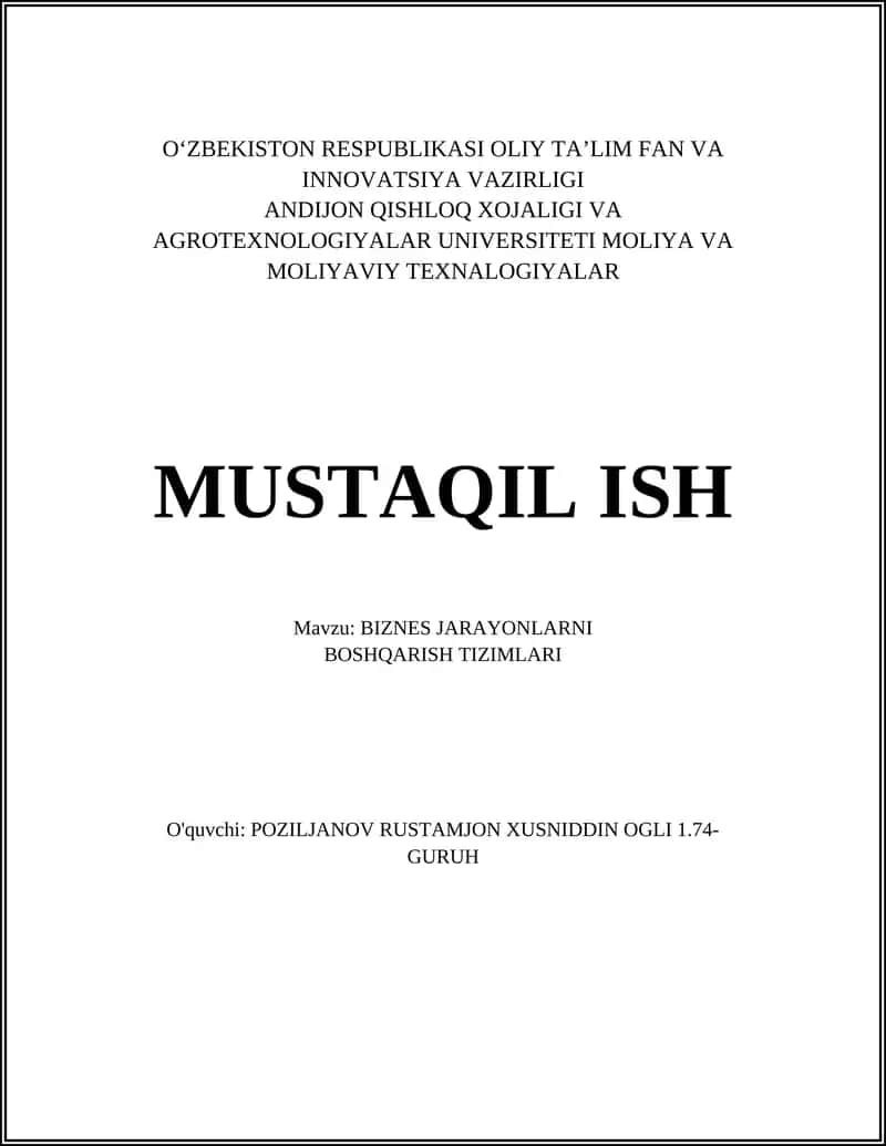 BIZNES JARAYONLARNI BOSHQARISH TIZIMLARI