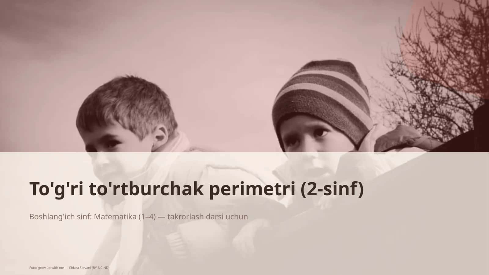 To'g'ri to'rtburchak perimetri (2-sinf)
