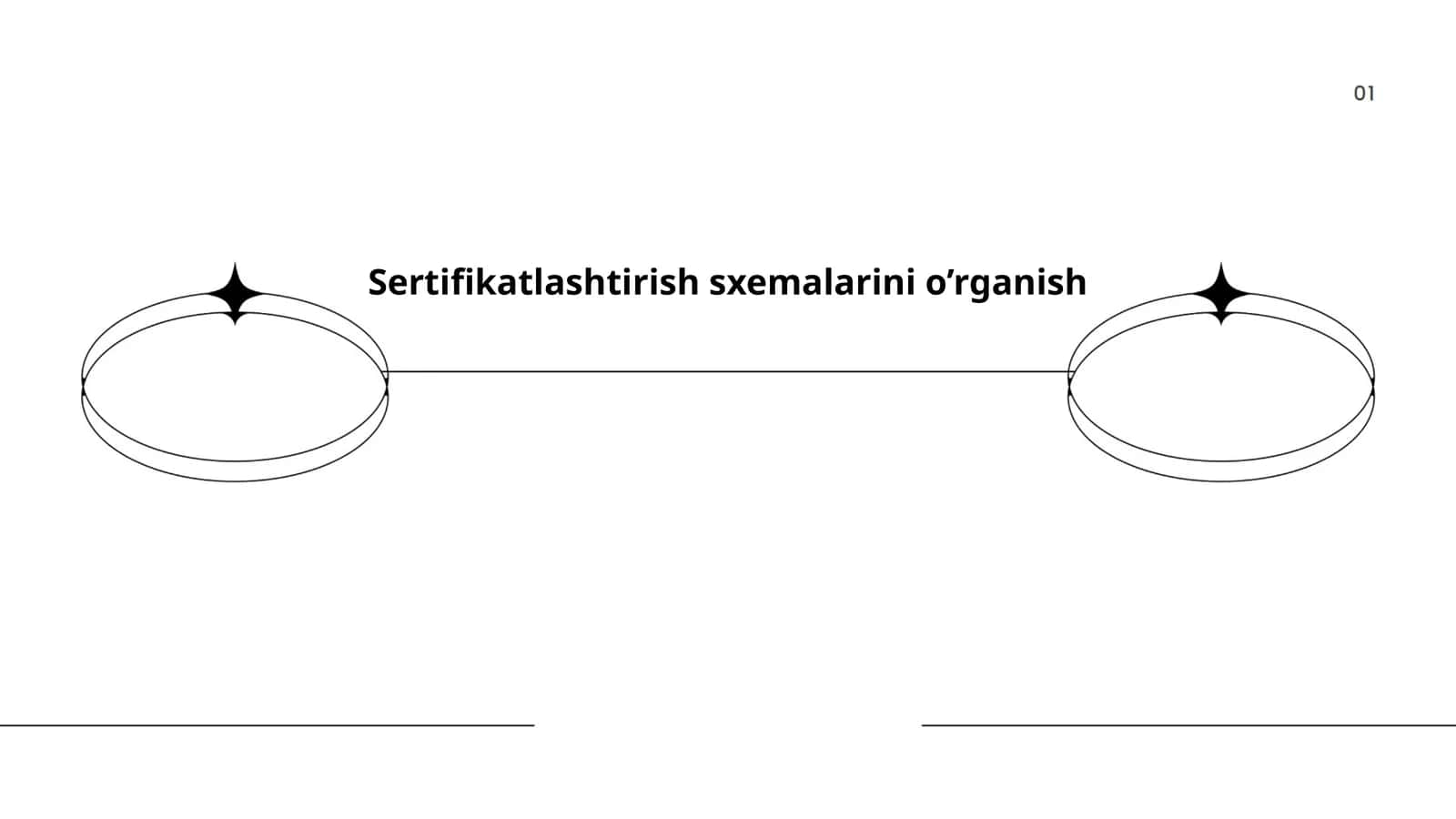 Sertifikatlashtirish sxemalarini o’rganish