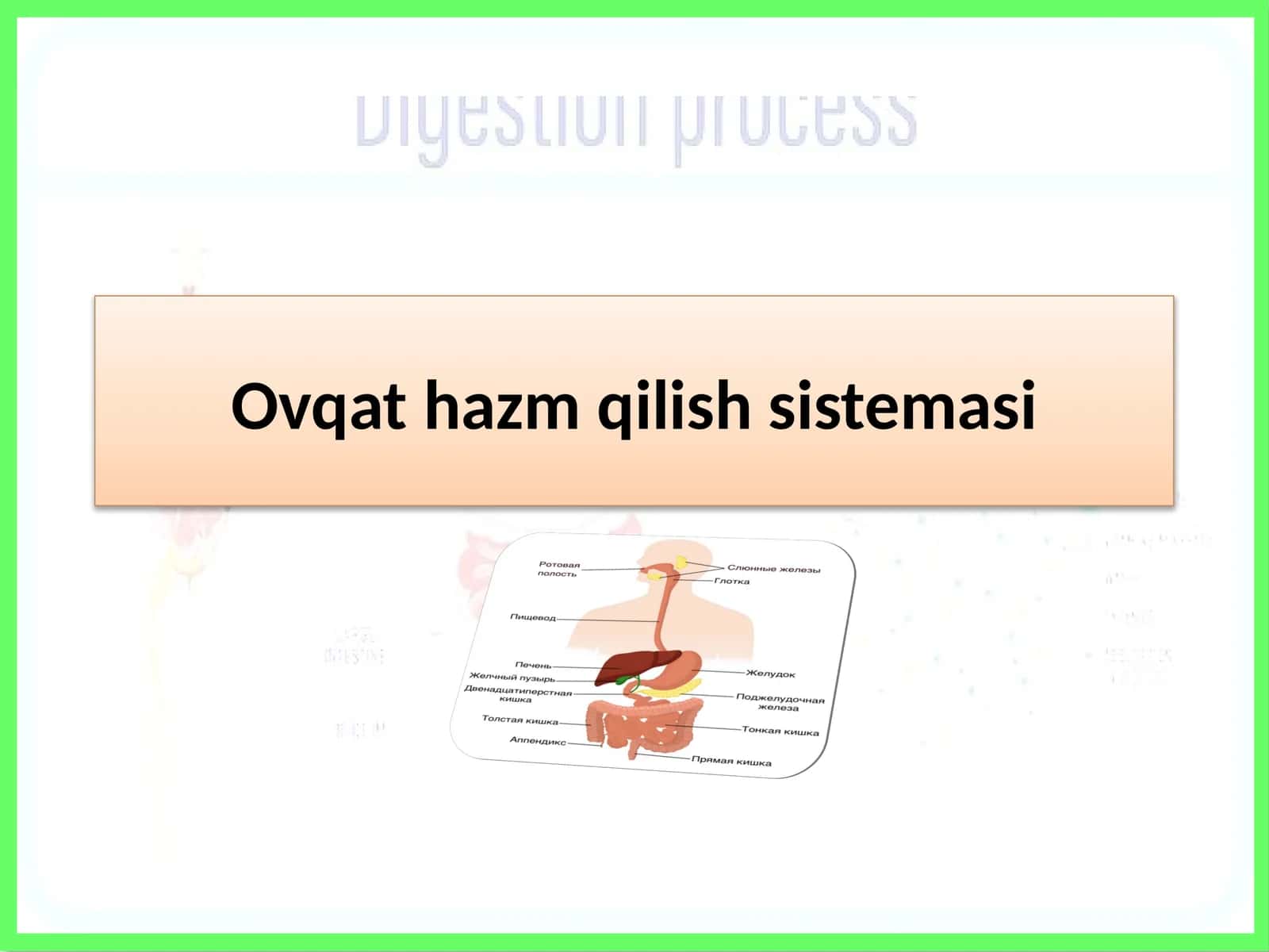Ovqat hazm qilish sistemasi 1