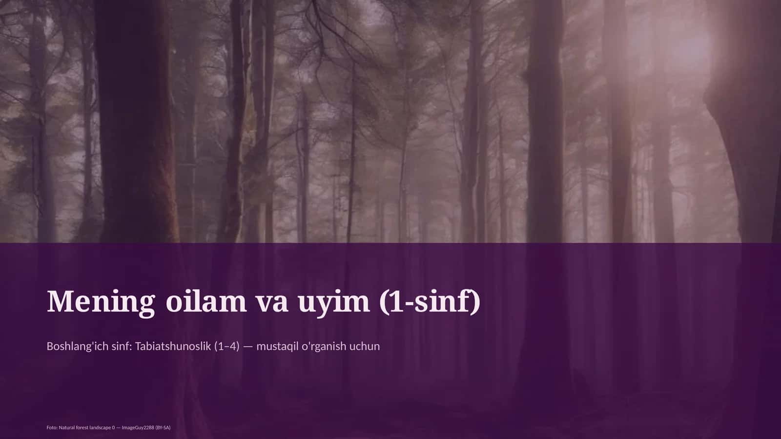 Mening oilam va uyim (1-sinf)