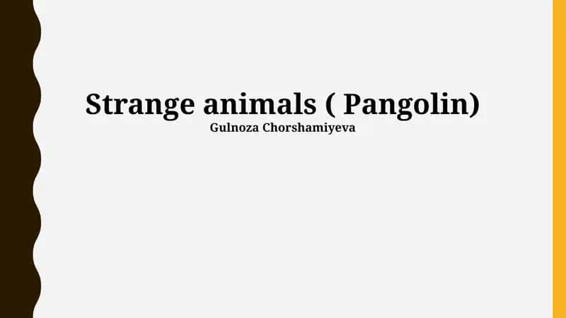 Pangolin