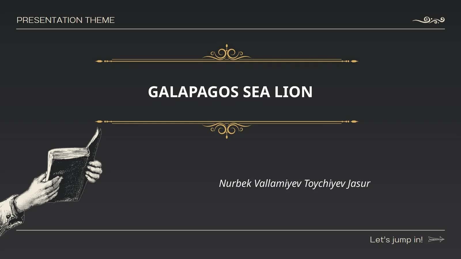 GALAPAGOS SEA LION