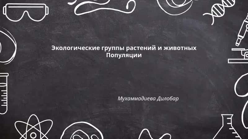 Экологические группы растений и животных