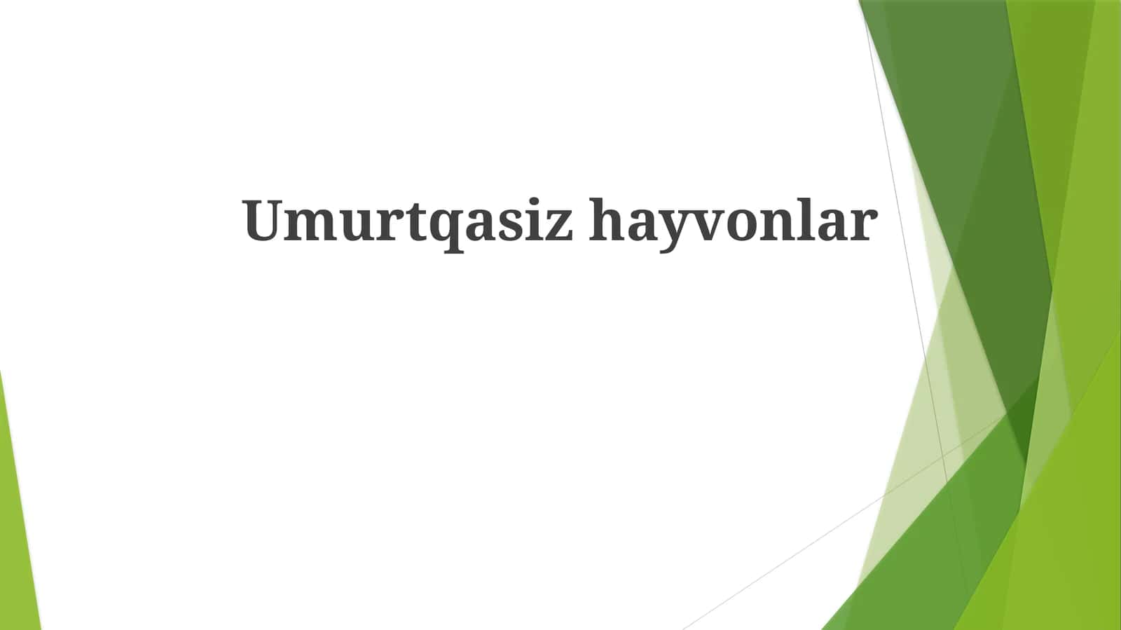 Umurtqasiz hayvonlar