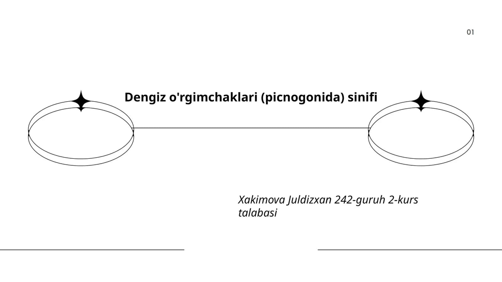 Dengiz o'rgimchaklari (picnogonida) sinifi