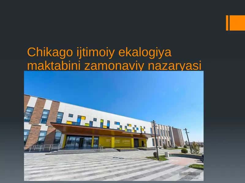 Chikago Ijtimoiy Ekologiya Maktabi Naza Ryasi