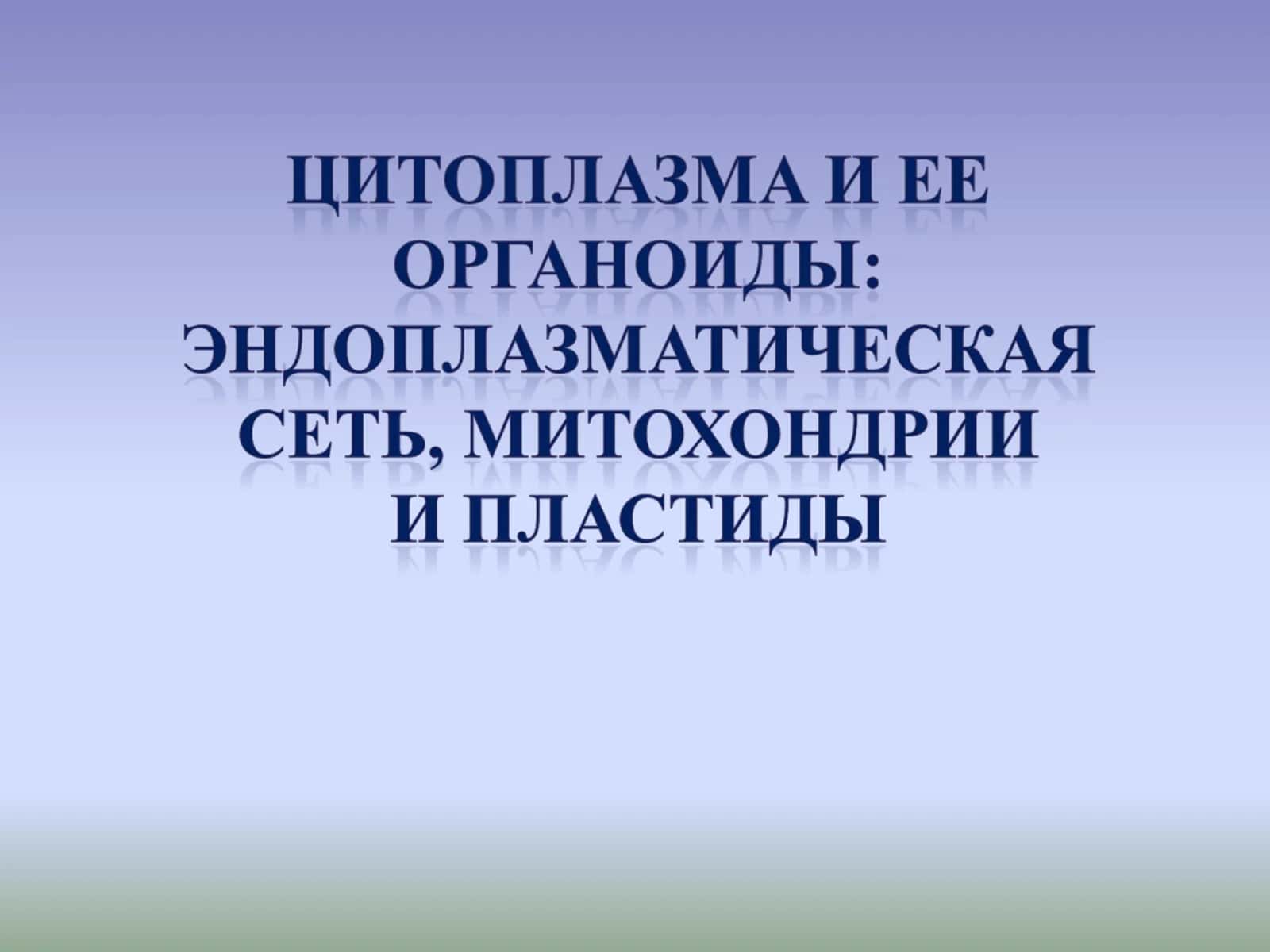 Ядро