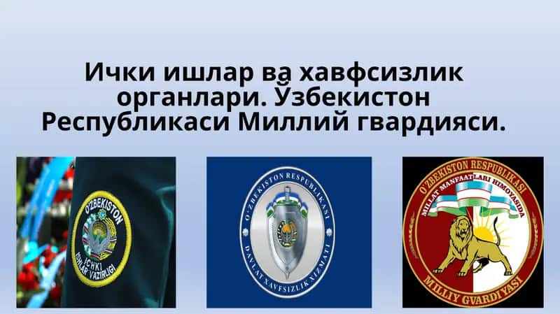 Ички ишлар ва хавфсизлик органлари