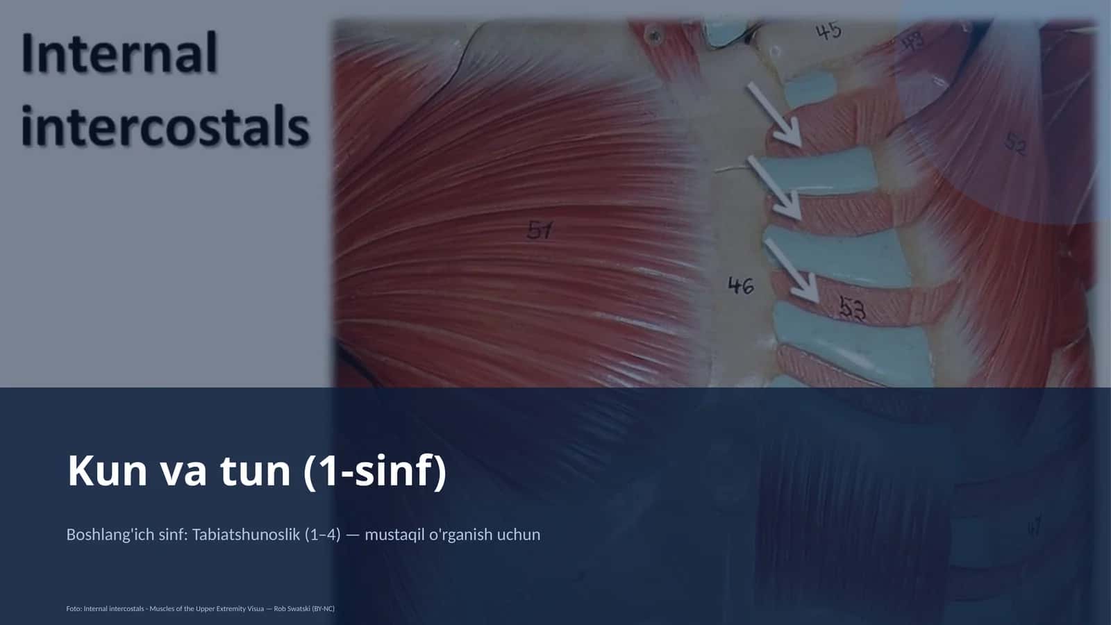 Kun va tun (1-sinf)