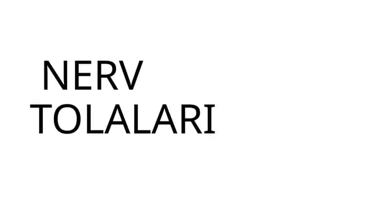 NERV TOLALARI