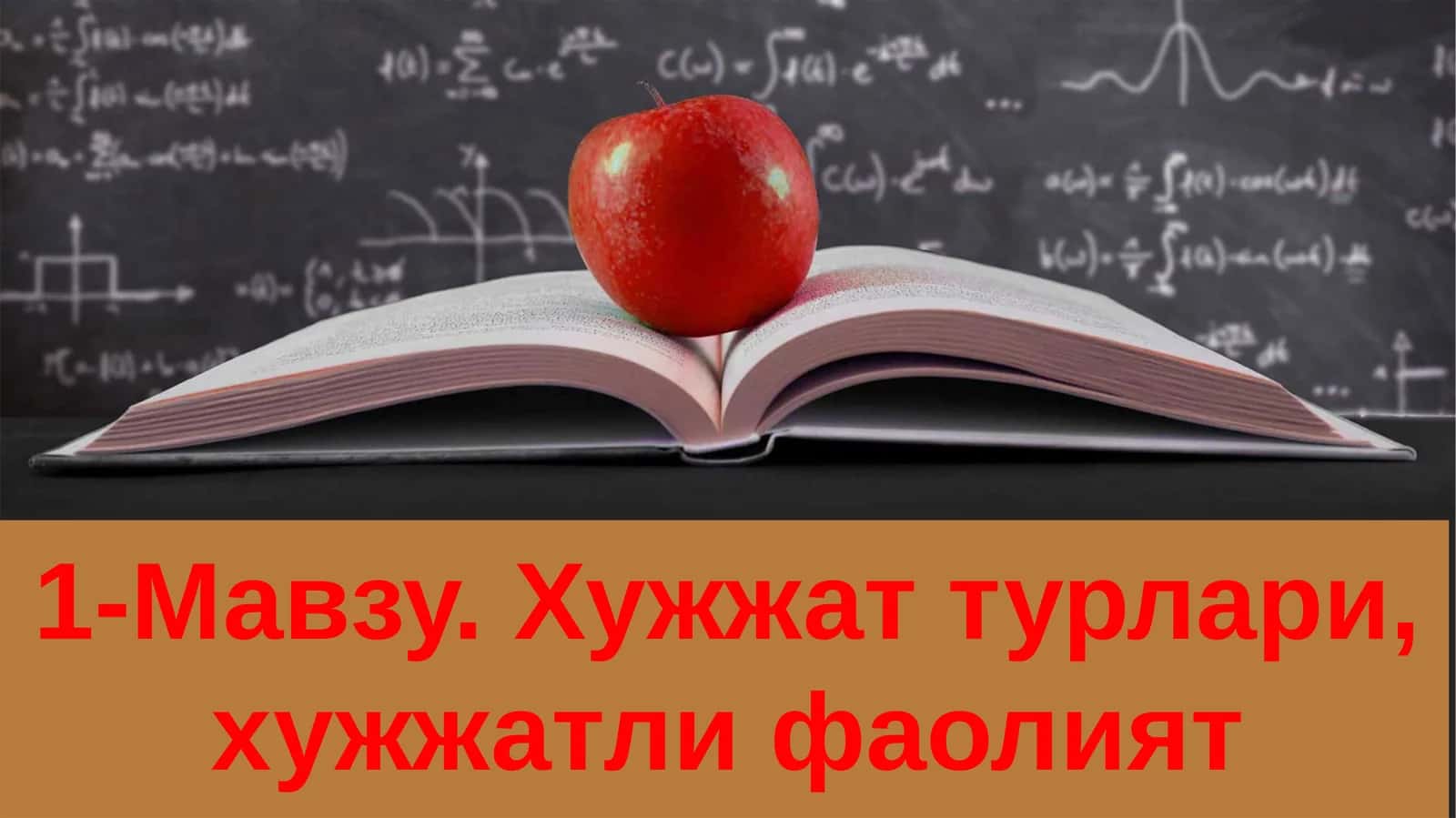 Хужжат турлари, хужжатли фаолият