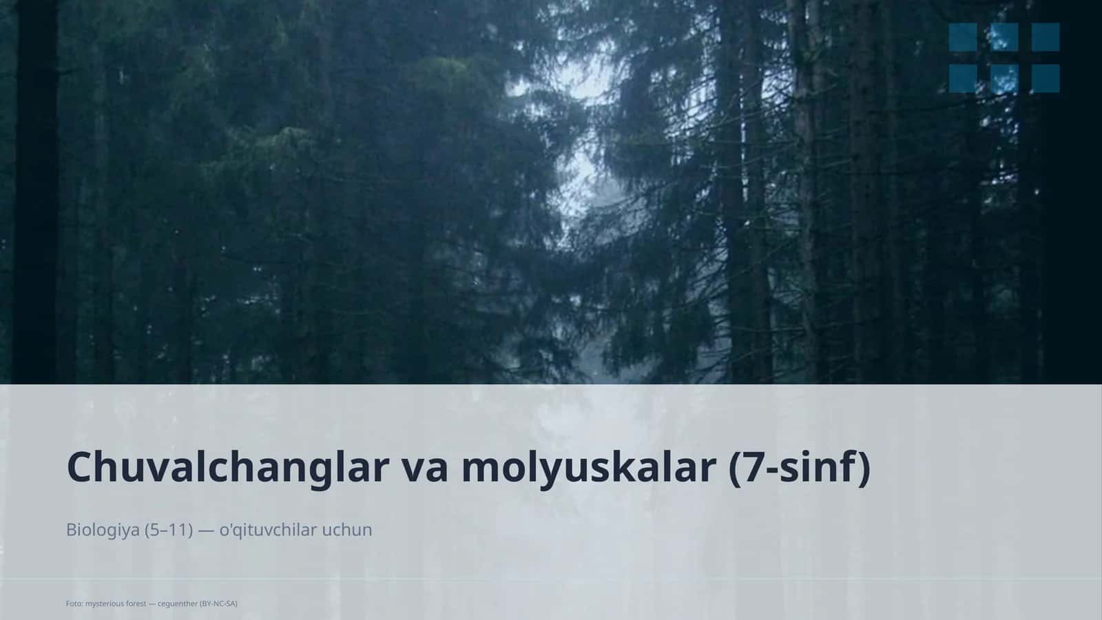 Chuvalchanglar va molyuskalar (7-sinf)